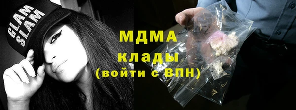 молекула духа Вяземский