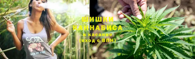 Каннабис White Widow  Красноярск 